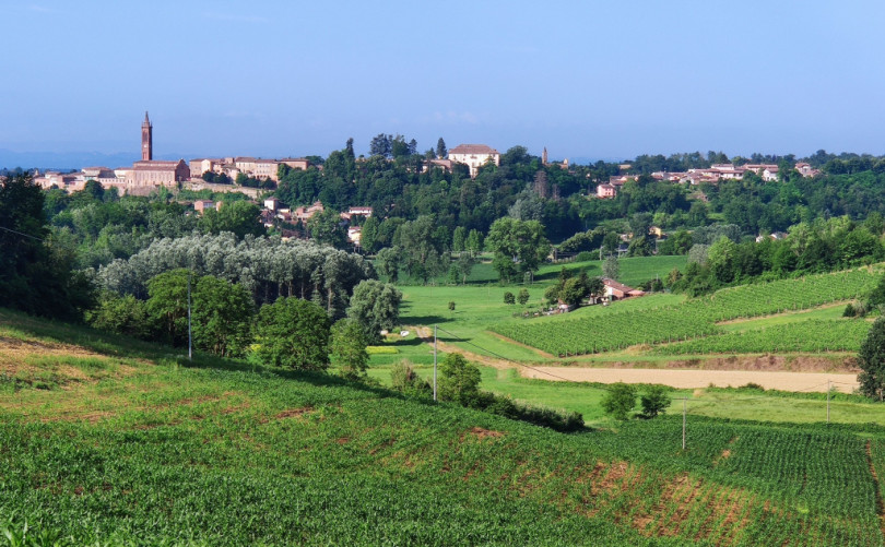 I contributi per le scuole della Provincia